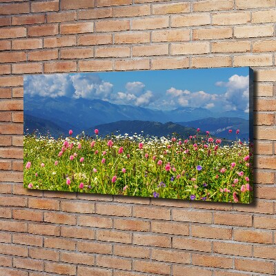 Canvas wall art Meadow in the mountains