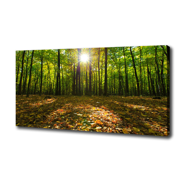 Canvas wall art Forest