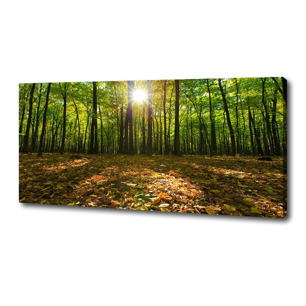 Canvas wall art Forest