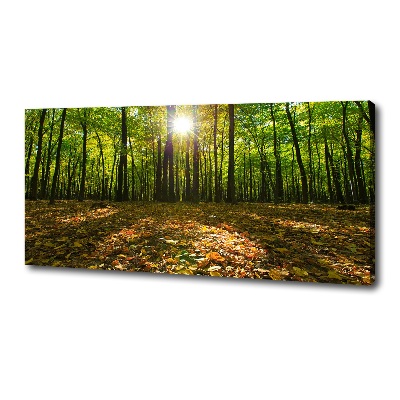 Canvas wall art Forest