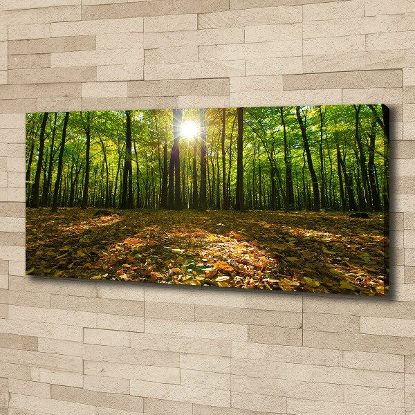 Canvas wall art Forest