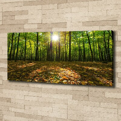 Canvas wall art Forest