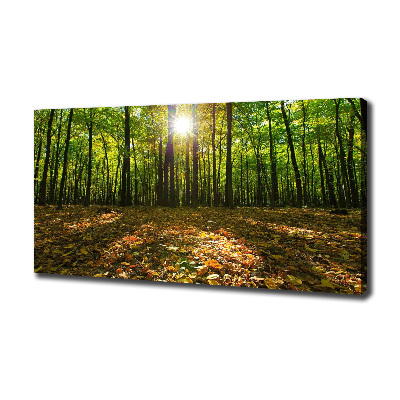 Canvas wall art Forest