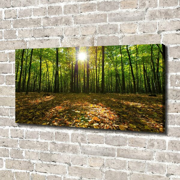 Canvas wall art Forest