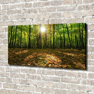 Canvas wall art Forest