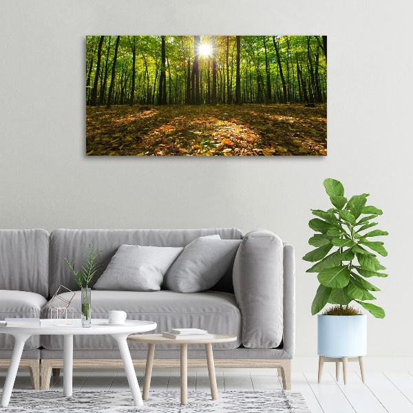 Canvas wall art Forest