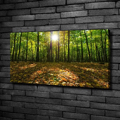 Canvas wall art Forest