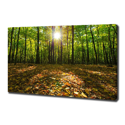 Canvas wall art Forest