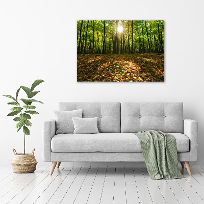 Canvas wall art Forest