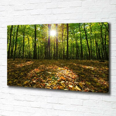 Canvas wall art Forest