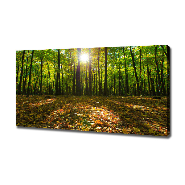 Canvas wall art Forest