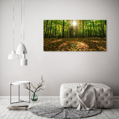 Canvas wall art Forest