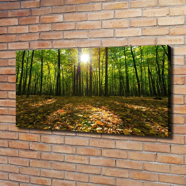 Canvas wall art Forest