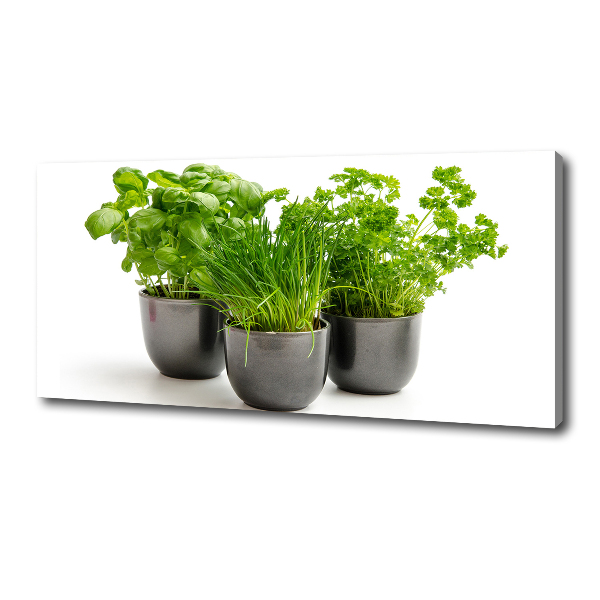 Canvas wall art Herbs in pots