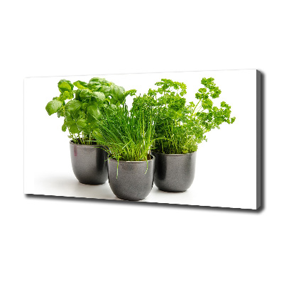 Canvas wall art Herbs in pots