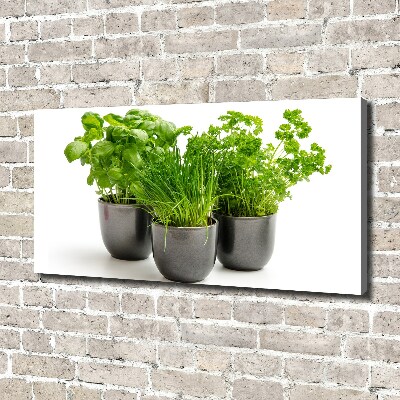 Canvas wall art Herbs in pots