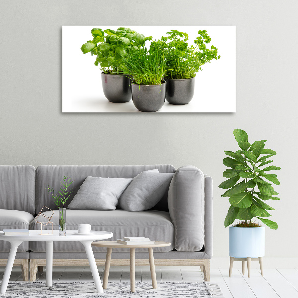 Canvas wall art Herbs in pots