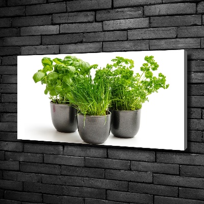 Canvas wall art Herbs in pots