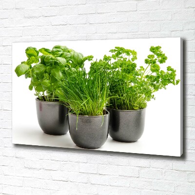 Canvas wall art Herbs in pots