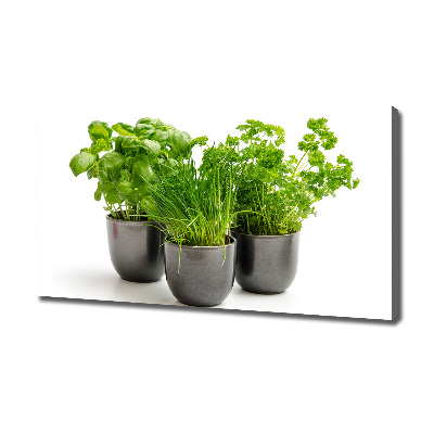 Canvas wall art Herbs in pots