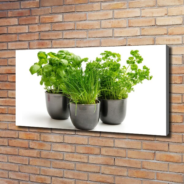 Canvas wall art Herbs in pots