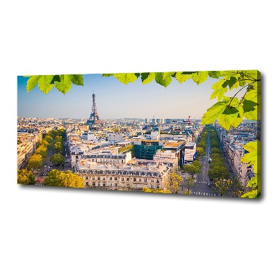 Canvas wall art Paris