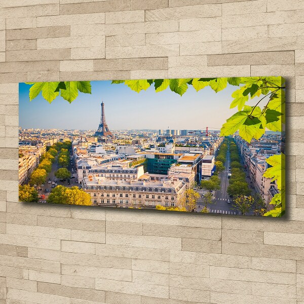 Canvas wall art Paris