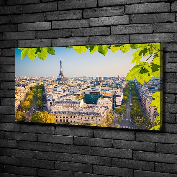 Canvas wall art Paris