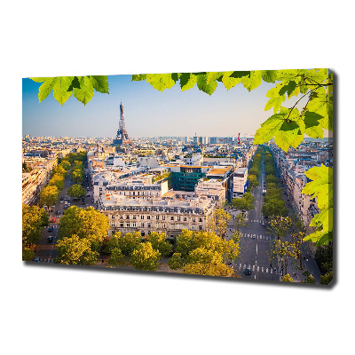 Canvas wall art Paris