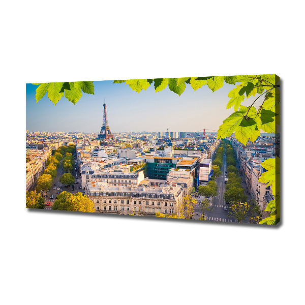 Canvas wall art Paris