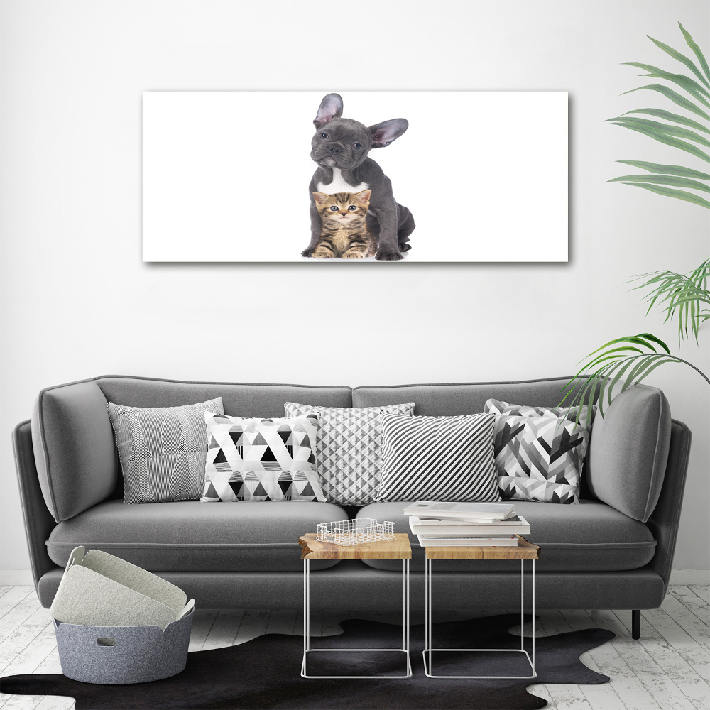 Canvas wall art Dog and cat