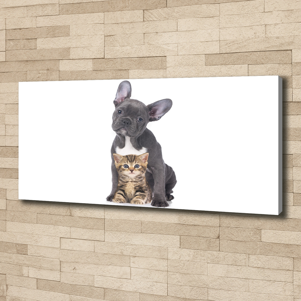 Canvas wall art Dog and cat