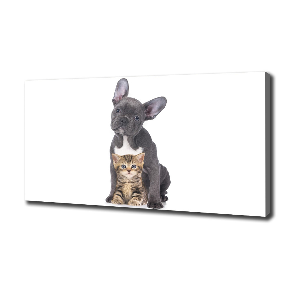 Canvas wall art Dog and cat