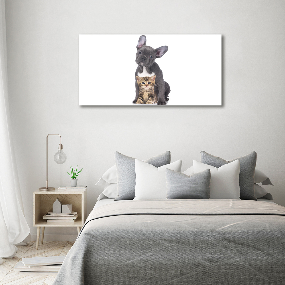 Canvas wall art Dog and cat