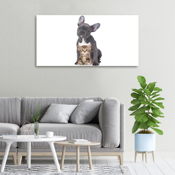 Canvas wall art Dog and cat