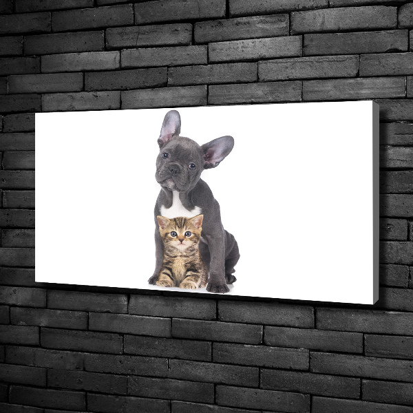 Canvas wall art Dog and cat