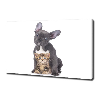 Canvas wall art Dog and cat