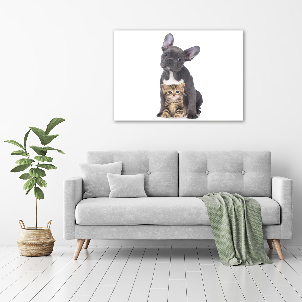 Canvas wall art Dog and cat