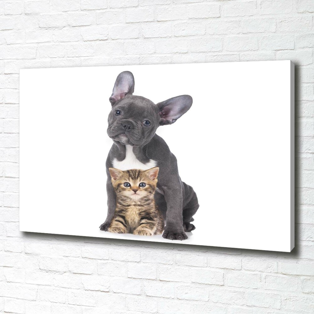 Canvas wall art Dog and cat