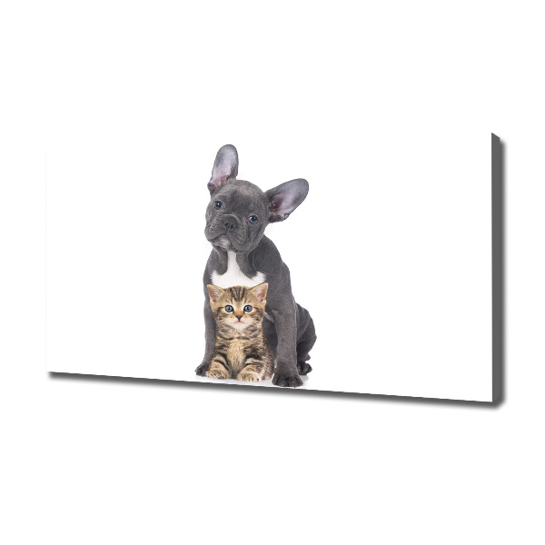 Canvas wall art Dog and cat