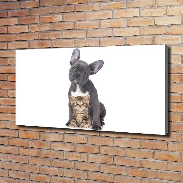 Canvas wall art Dog and cat