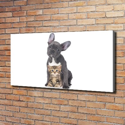 Canvas wall art Dog and cat