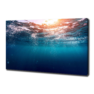 Canvas wall art Underwater world