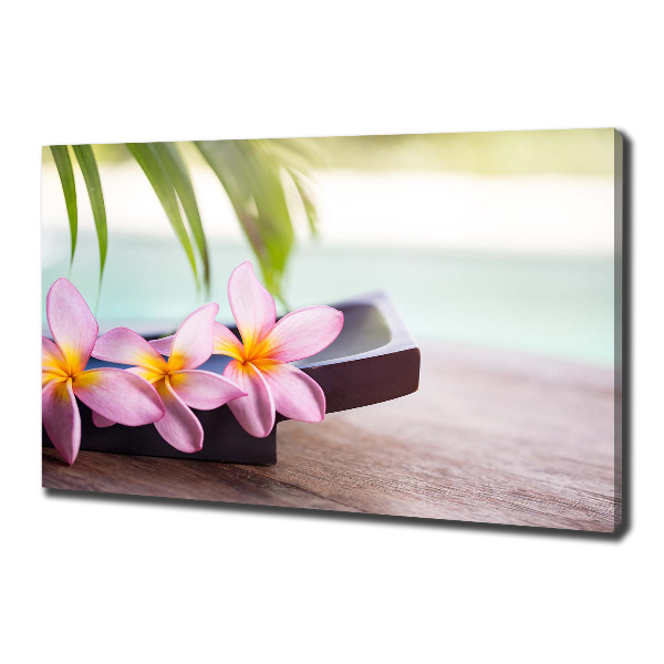 Canvas wall art Plumeria