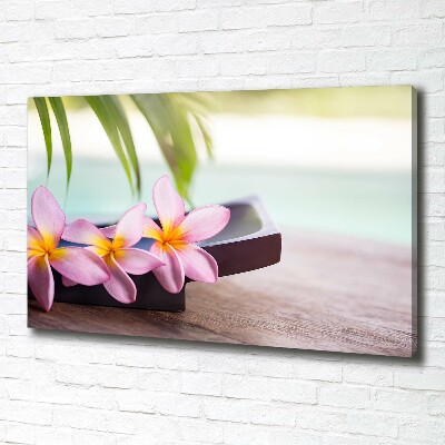 Canvas wall art Plumeria