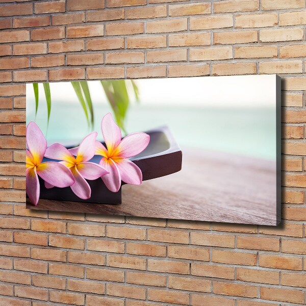 Canvas wall art Plumeria