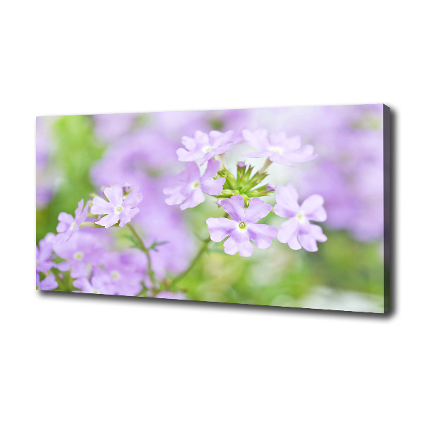 Canvas wall art Verbena