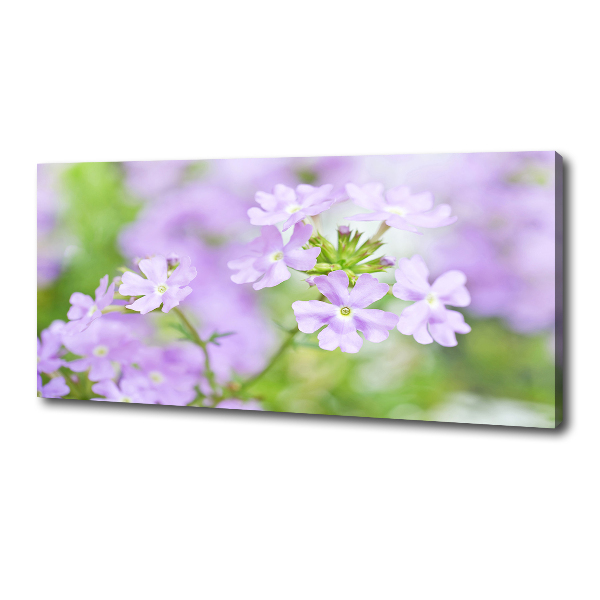 Canvas wall art Verbena