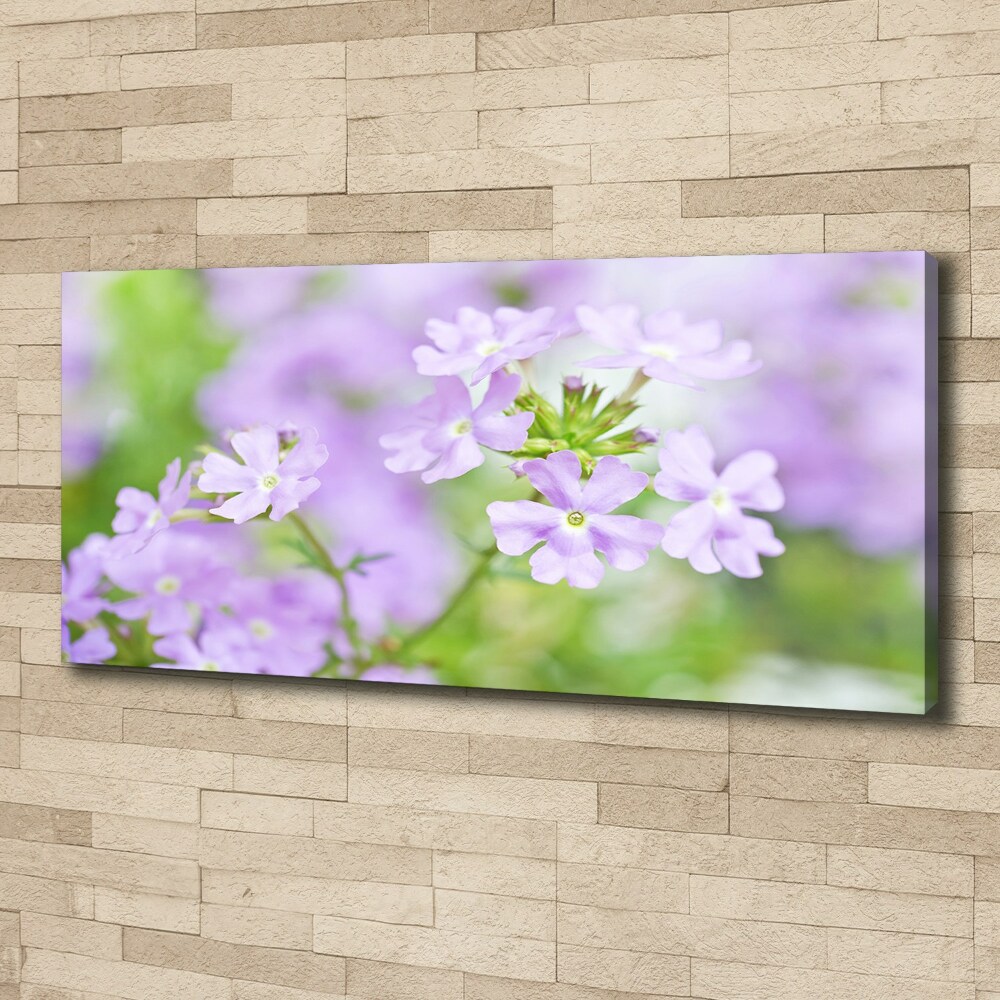 Canvas wall art Verbena