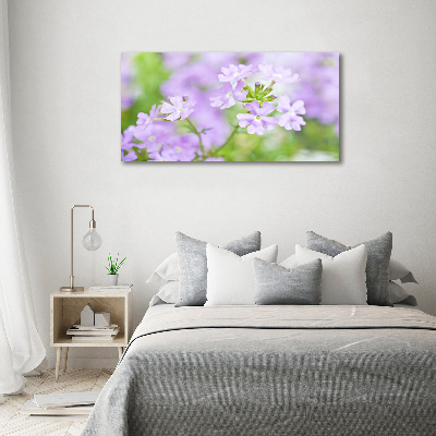 Canvas wall art Verbena